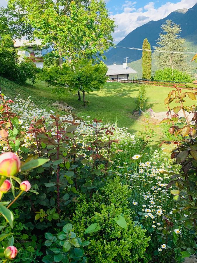 Mansarda La Soffitta Aparthotel Domegge di Cadore Exterior photo